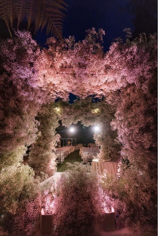 A cave of pink blossom lit at night