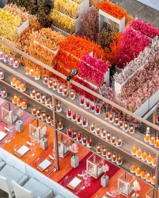 Rows of orange, pink and yellow flowers seen from above