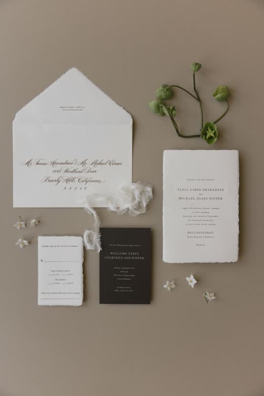 An invitation suite with a sprig of greenery
